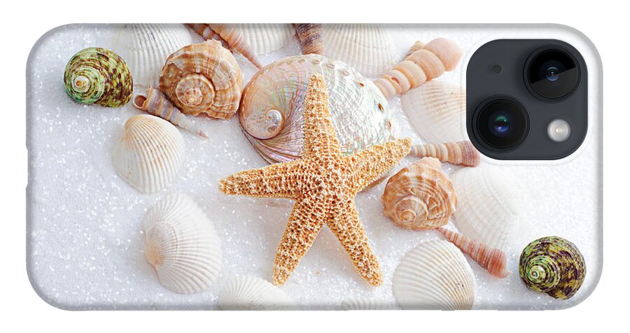  Seashells iPhone 14 Case featuring the photograph North Carolina Sea Shells by Andee Design