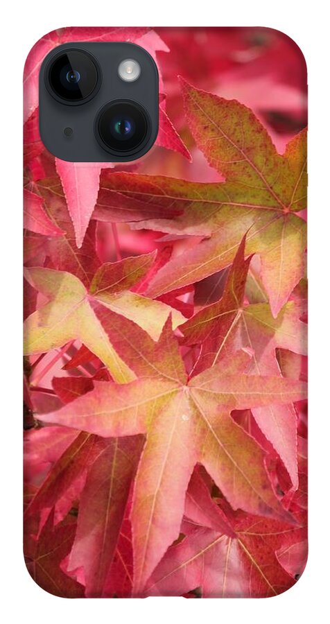 Oak Leaves iPhone Case featuring the photograph Oak Leaves in the Fall by E Faithe Lester