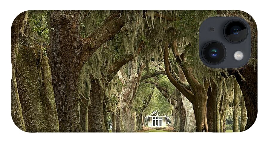 Avenue Of The Oaks iPhone Case featuring the photograph Oaks Of The Golden Isles by Adam Jewell
