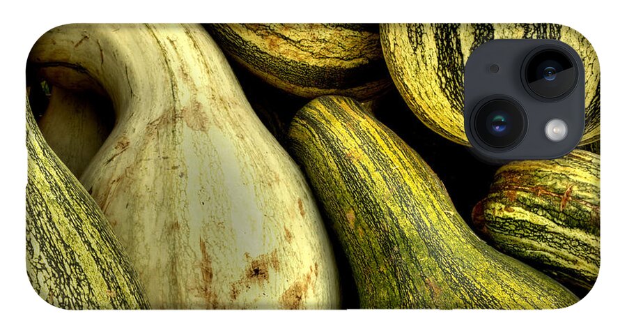 Gourds iPhone Case featuring the photograph October Gourds by Michael Eingle