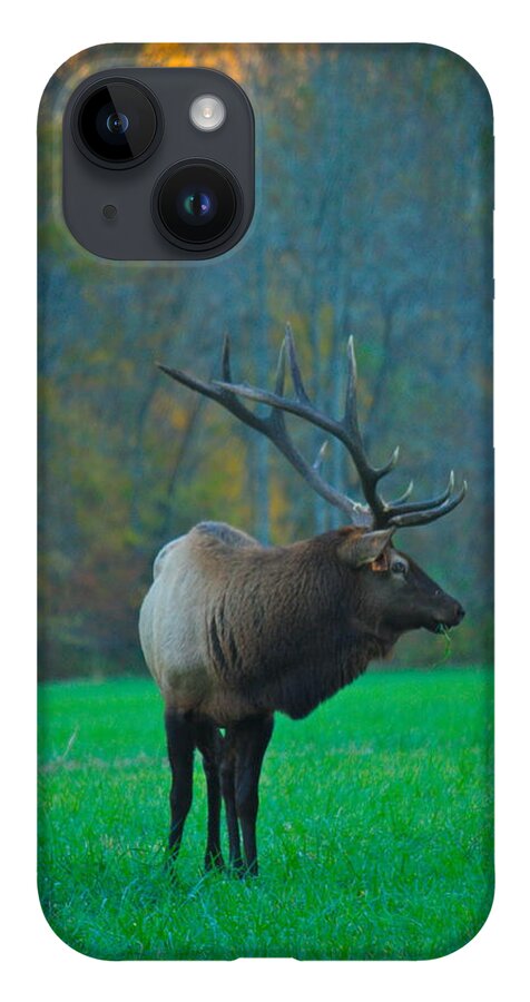 Nunweiler iPhone 14 Case featuring the photograph Oconoluftee Elk by Nunweiler Photography