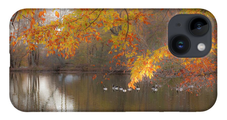 Pond iPhone 14 Case featuring the photograph Peavefull Pond Reflections by Dale Powell