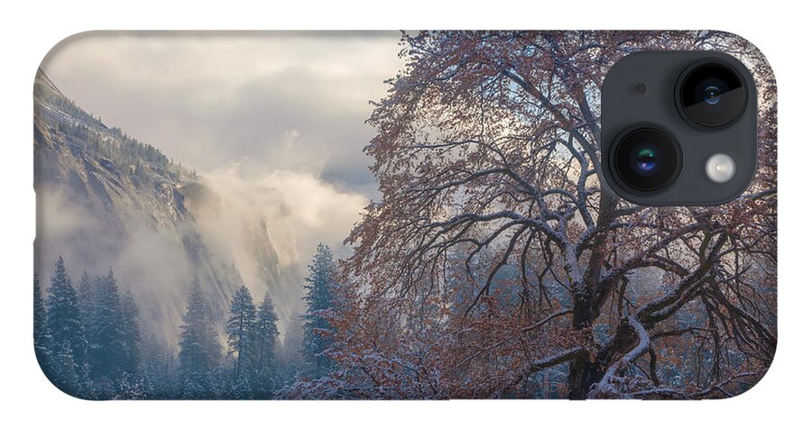 Landscape iPhone 14 Case featuring the photograph One Beauty by Jonathan Nguyen