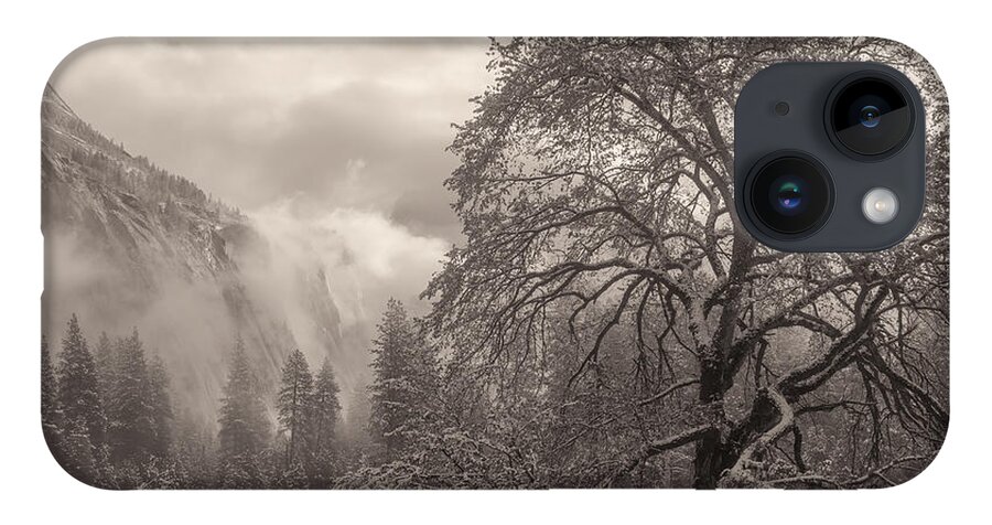 Landscape iPhone 14 Case featuring the photograph One Beauty Sepia by Jonathan Nguyen
