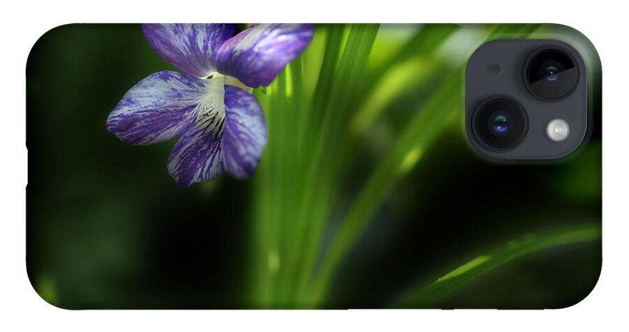 Purple Violet iPhone 14 Case featuring the photograph One Fine Morning by Michael Eingle