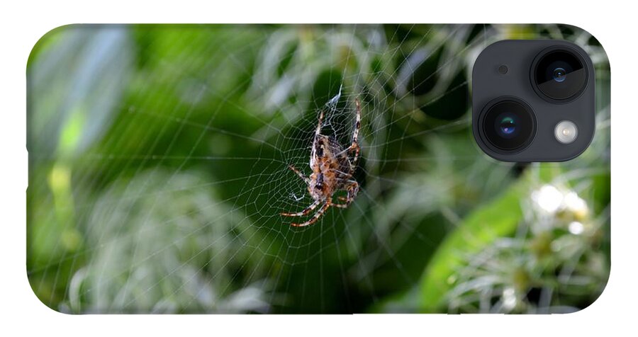 Orb Weaver Spider iPhone 14 Case featuring the photograph Open Air Market by Laureen Murtha Menzl