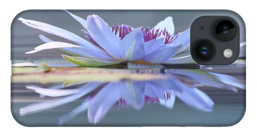 Water Lily iPhone 14 Case featuring the photograph Open to the Sun by Leda Robertson