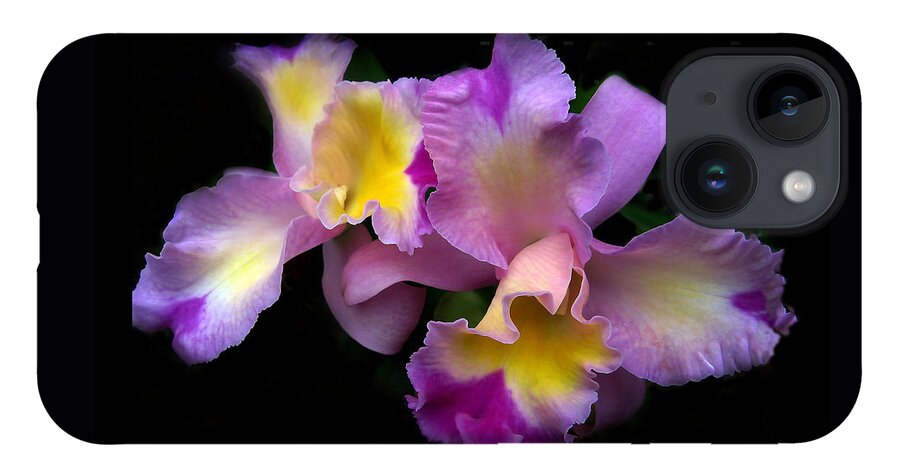 Flowers iPhone 14 Case featuring the photograph Orchid Embrace by Jessica Jenney