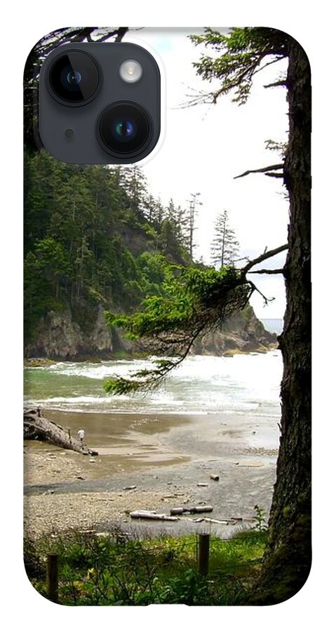 Old Growth iPhone 14 Case featuring the photograph Oswald West 2 by Laureen Murtha Menzl