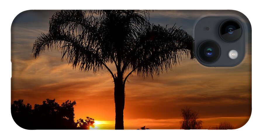 Hdr iPhone 14 Case featuring the photograph Palm Tree Sunset by Mathias 