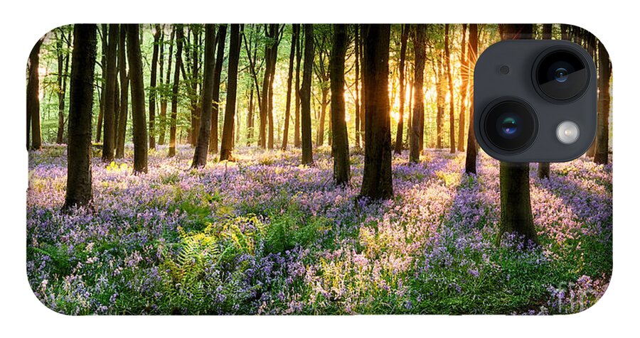 Flower iPhone 14 Case featuring the photograph Sunrise path through bluebell woods by Simon Bratt