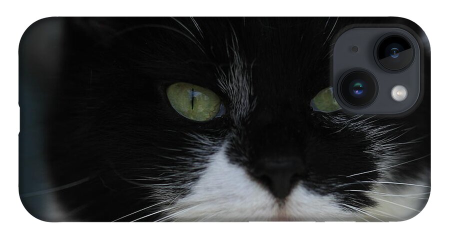 Tuxedo iPhone Case featuring the photograph Green Eyes of a Tuxedo Cat by Valerie Collins