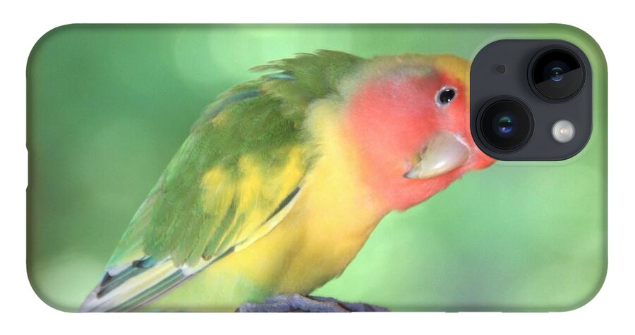 Lovebird iPhone 14 Case featuring the photograph Peeking Peach Face Lovebird by Andrea Lazar