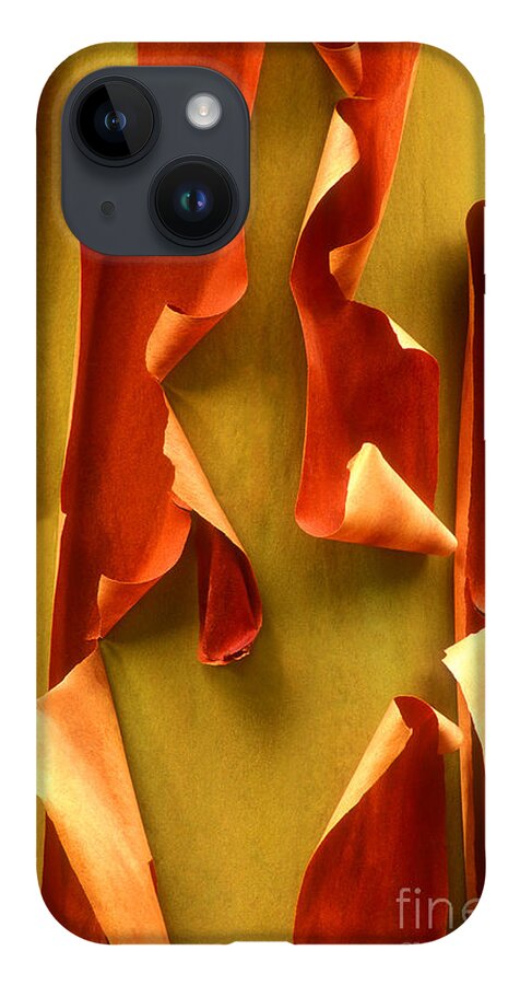 Pacific Madrone iPhone 14 Case featuring the photograph Peeling Bark Pacific Madrone Tree Washington by Dave Welling