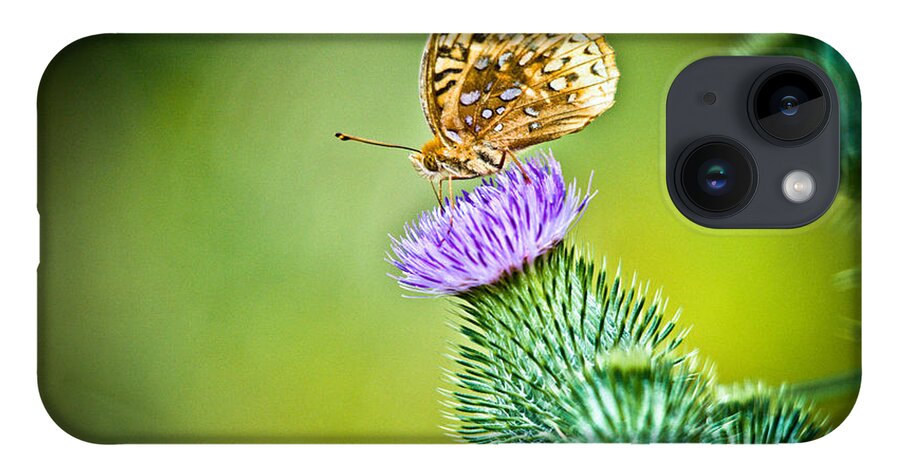 Great Spangled Fritillary Butterfly iPhone 14 Case featuring the photograph Perfect Butterfly by Cheryl Baxter