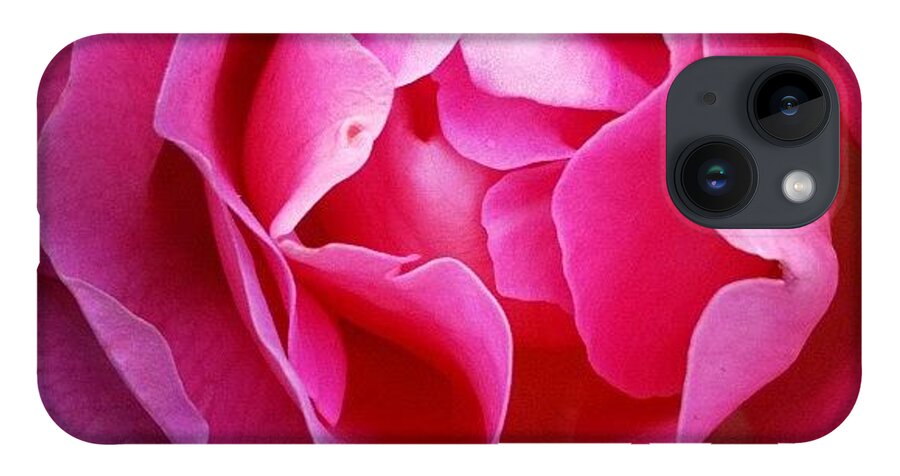 Rose iPhone 14 Case featuring the photograph Petal Soft by Denise Railey