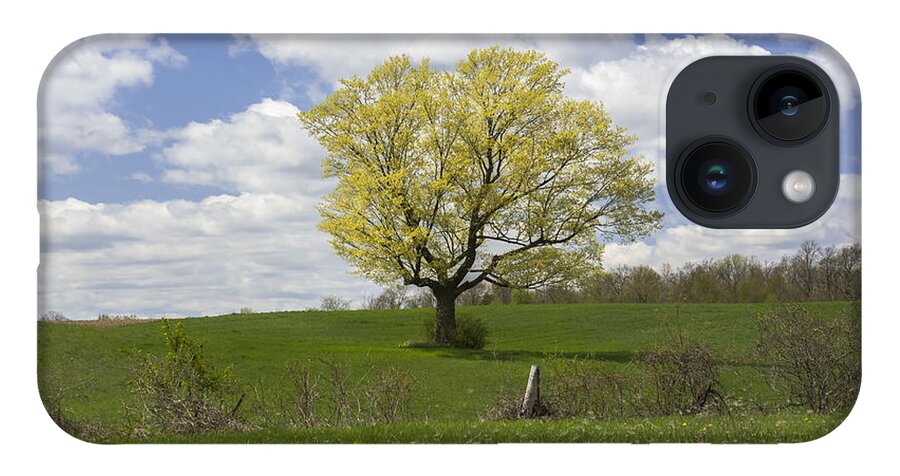 Spring Landscape iPhone 14 Case featuring the photograph Picnic Spot by Dan Hefle