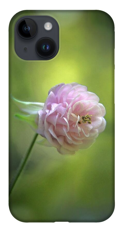 Aquilegia iPhone Case featuring the photograph Pink Columbine by Andrea Lazar