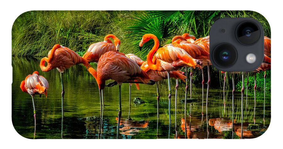 Nature iPhone 14 Case featuring the photograph Pink Flamingos by Louis Dallara
