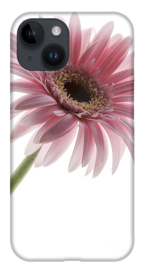 Pink Posey iPhone 14 Case featuring the photograph Pink Posey by Patty Colabuono
