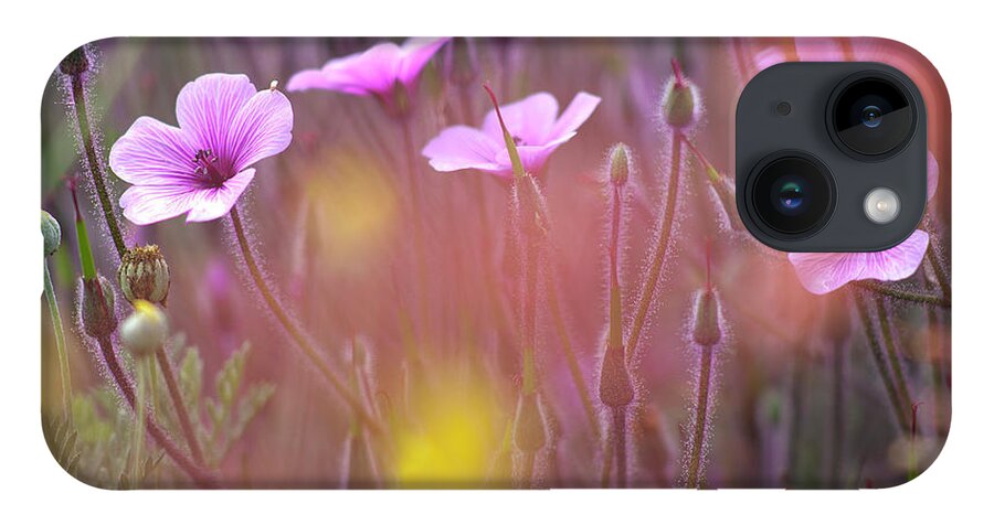 Geranium iPhone 14 Case featuring the photograph Pink wild Geranium by Heiko Koehrer-Wagner