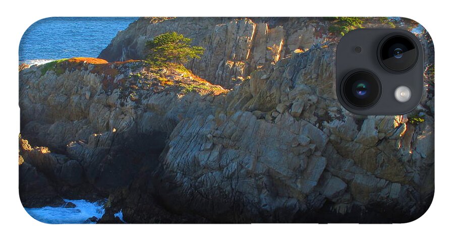 Point Lobos iPhone 14 Case featuring the photograph Point Lobos Number 9 by Derek Dean