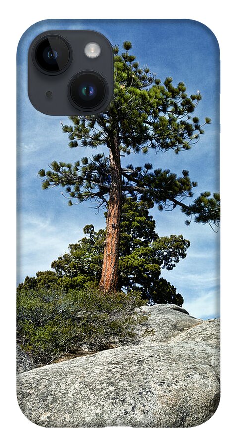 Beauty In Nature iPhone 14 Case featuring the photograph Ponderosa Pine and Granite Boulders by Jeff Goulden