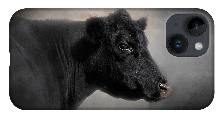 Angus iPhone 14 Case featuring the photograph Portrait of the Black Angus by Jai Johnson