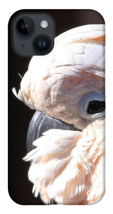 Cockatoo Head Shot iPhone Case featuring the photograph Pretty in Pink Salmon-Crested Cockatoo Portrait by Andrea Lazar