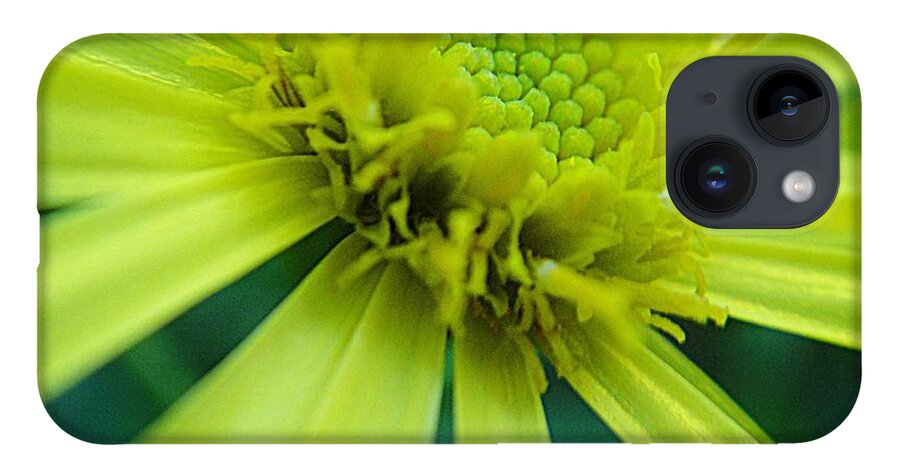 Flower iPhone Case featuring the photograph Pretty yellow flower by Karin Ravasio