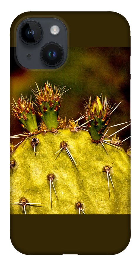 Prickly Pear iPhone 14 Case featuring the photograph Prickly Pear Spring by Roger Passman