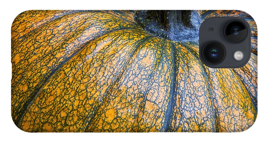 Pumpkin iPhone Case featuring the photograph Pumpkin Pumpkin by James BO Insogna