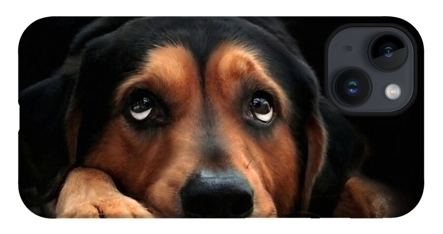 Dog iPhone 14 Case featuring the mixed media Puppy Dog Eyes by Christina Rollo
