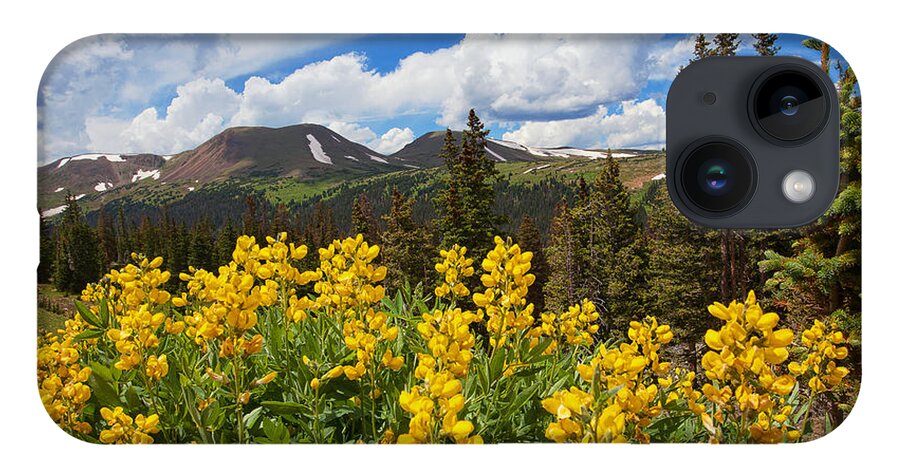 Flowers iPhone Case featuring the photograph Pure Gold by Jim Garrison