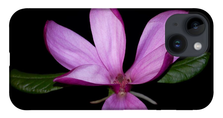 Purple iPhone Case featuring the photograph Purple Magnolia by Nancy Bradley