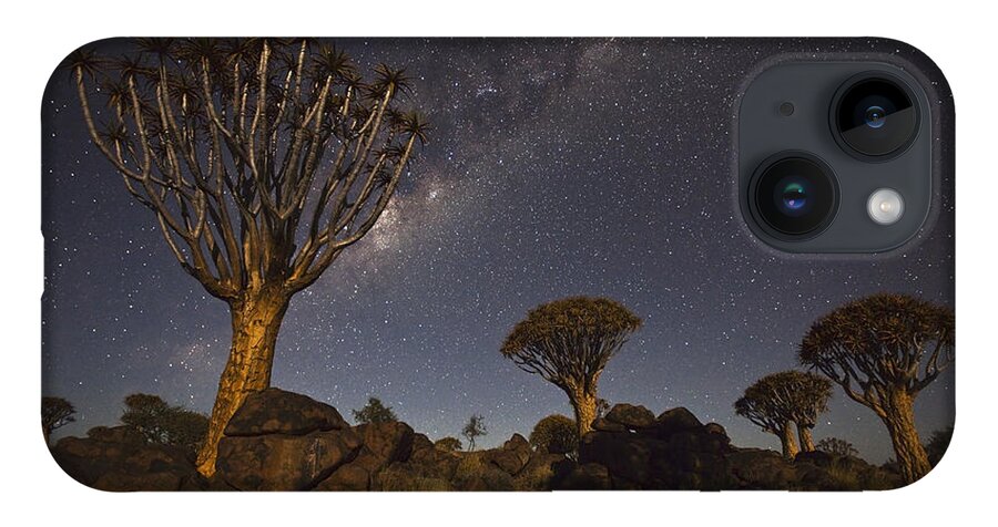 Vincent Grafhorst iPhone 14 Case featuring the photograph Quiver Trees andThe Milky Way by Vincent Grafhorst