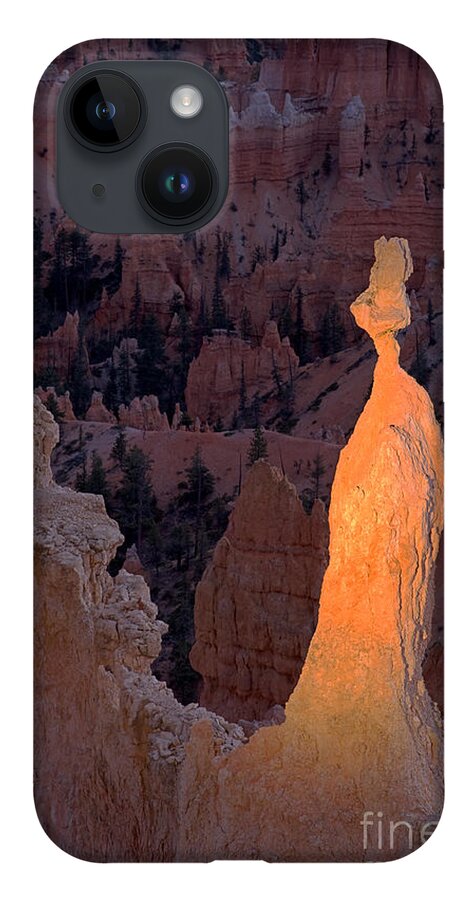 Autumn iPhone 14 Case featuring the photograph Rabbit Sunset Point Bryce Canyon National Park by Fred Stearns