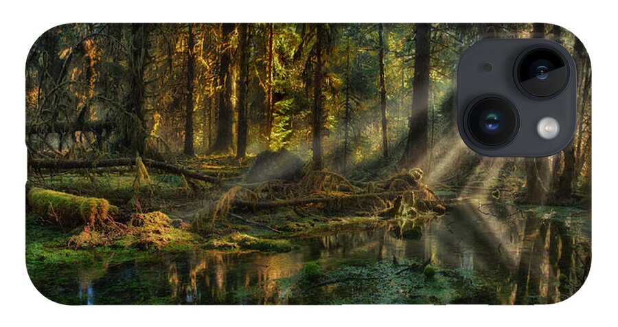 Rain Forest iPhone 14 Case featuring the photograph Rain Forest Sunbeams by Mary Jo Allen