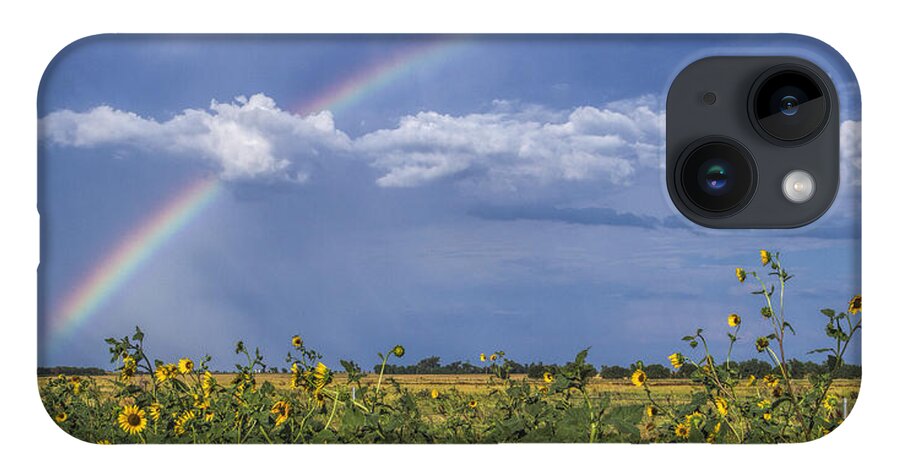 Kansas iPhone 14 Case featuring the photograph Rainbow over sunflowers by Rob Graham