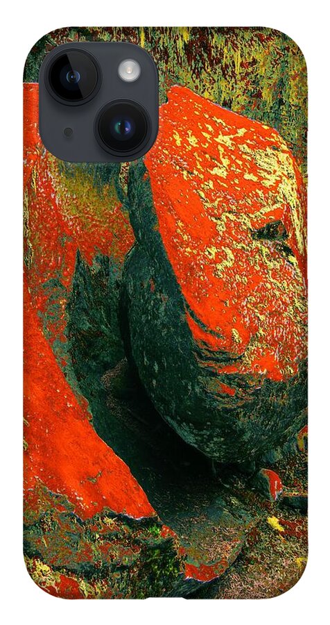 Volcanic Rock iPhone Case featuring the photograph Ramona's Offspring by Laureen Murtha Menzl