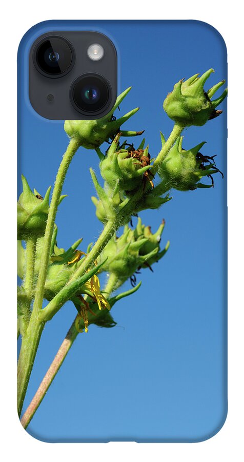 Blue And Green iPhone 14 Case featuring the photograph Reach by Christi Kraft