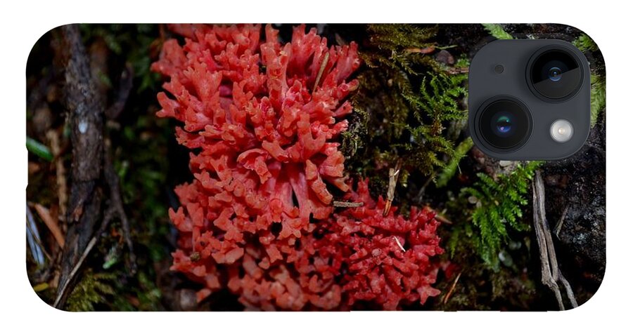 Red Coral Mushroom iPhone 14 Case featuring the photograph Red Coral Mushroom by Laureen Murtha Menzl
