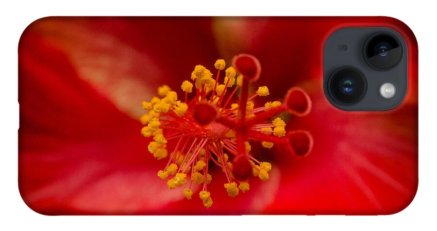 Fjm Multimedia iPhone 14 Case featuring the photograph Red Hibiscus 7 by Frank Mari