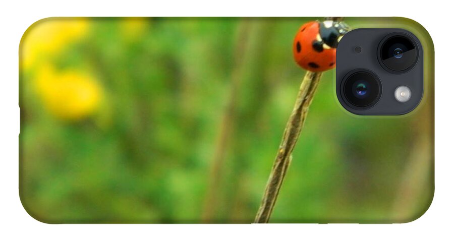 Ladybug iPhone 14 Case featuring the photograph Red Ladybug by Gallery Of Hope 