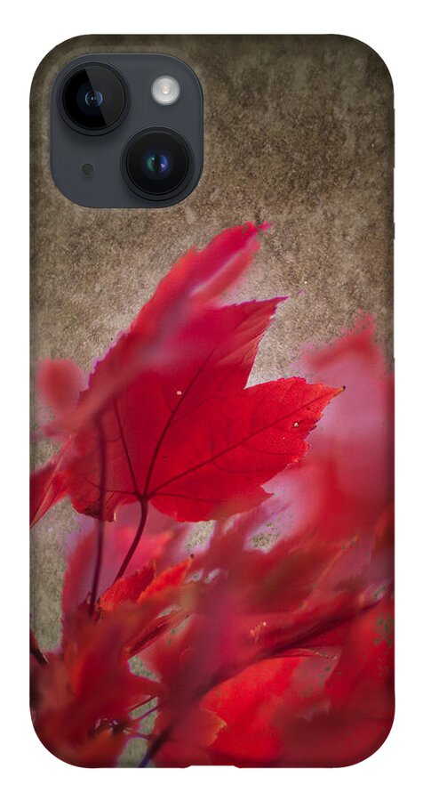 Artistic Fall Colors iPhone Case featuring the photograph Red Maple Dreams by Jeff Folger