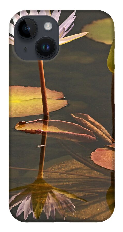 Water Lilies iPhone Case featuring the photograph Reflected Water Lilies by Theo OConnor