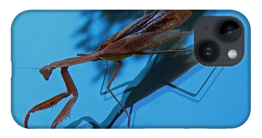 Insects iPhone 14 Case featuring the photograph Reflections of a Mantis by Jennifer Robin