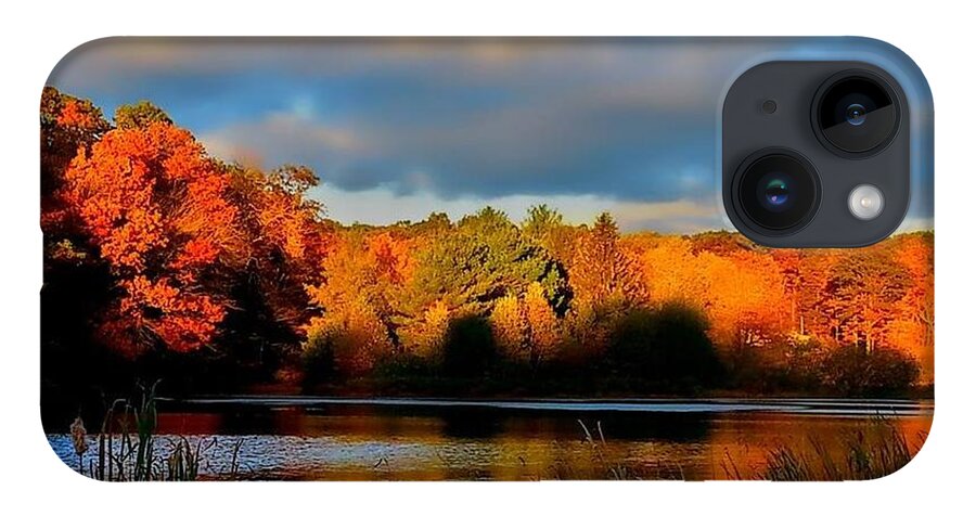 Autumn iPhone 14 Case featuring the photograph Resonate by Dani McEvoy