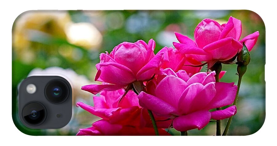 Roses iPhone 14 Case featuring the photograph Rittenhouse Square Roses by Rona Black