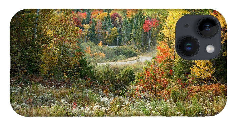 Fall Foliage iPhone 14 Case featuring the photograph Road to Quill Hill by Brenda Giasson